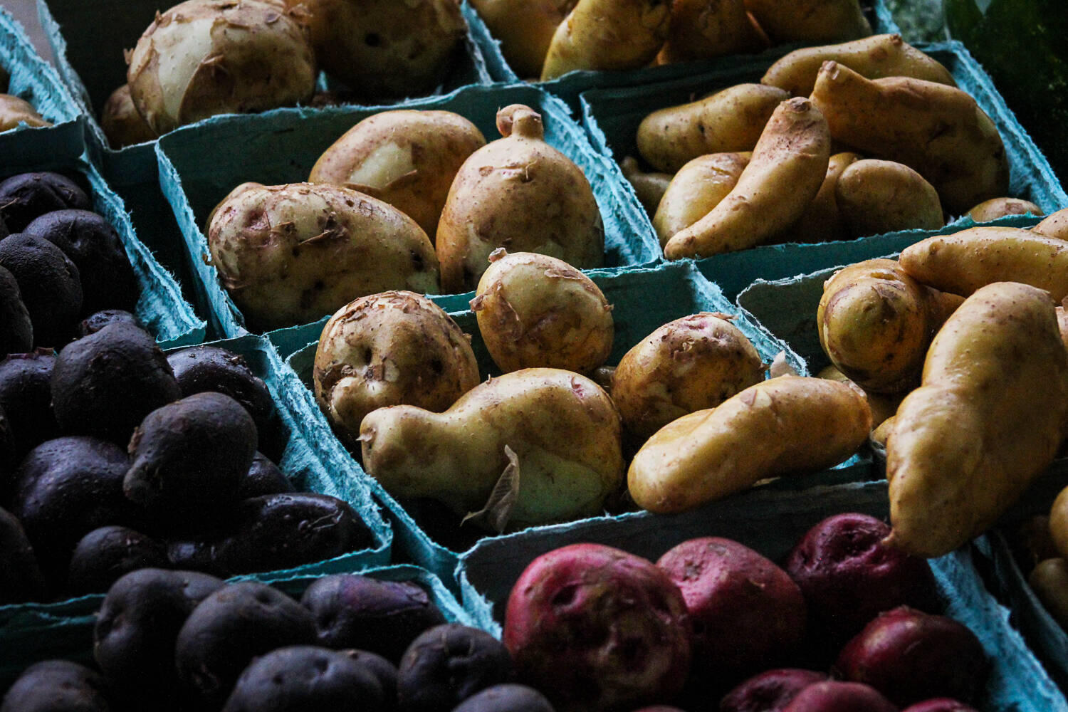 potatoes-in-carton